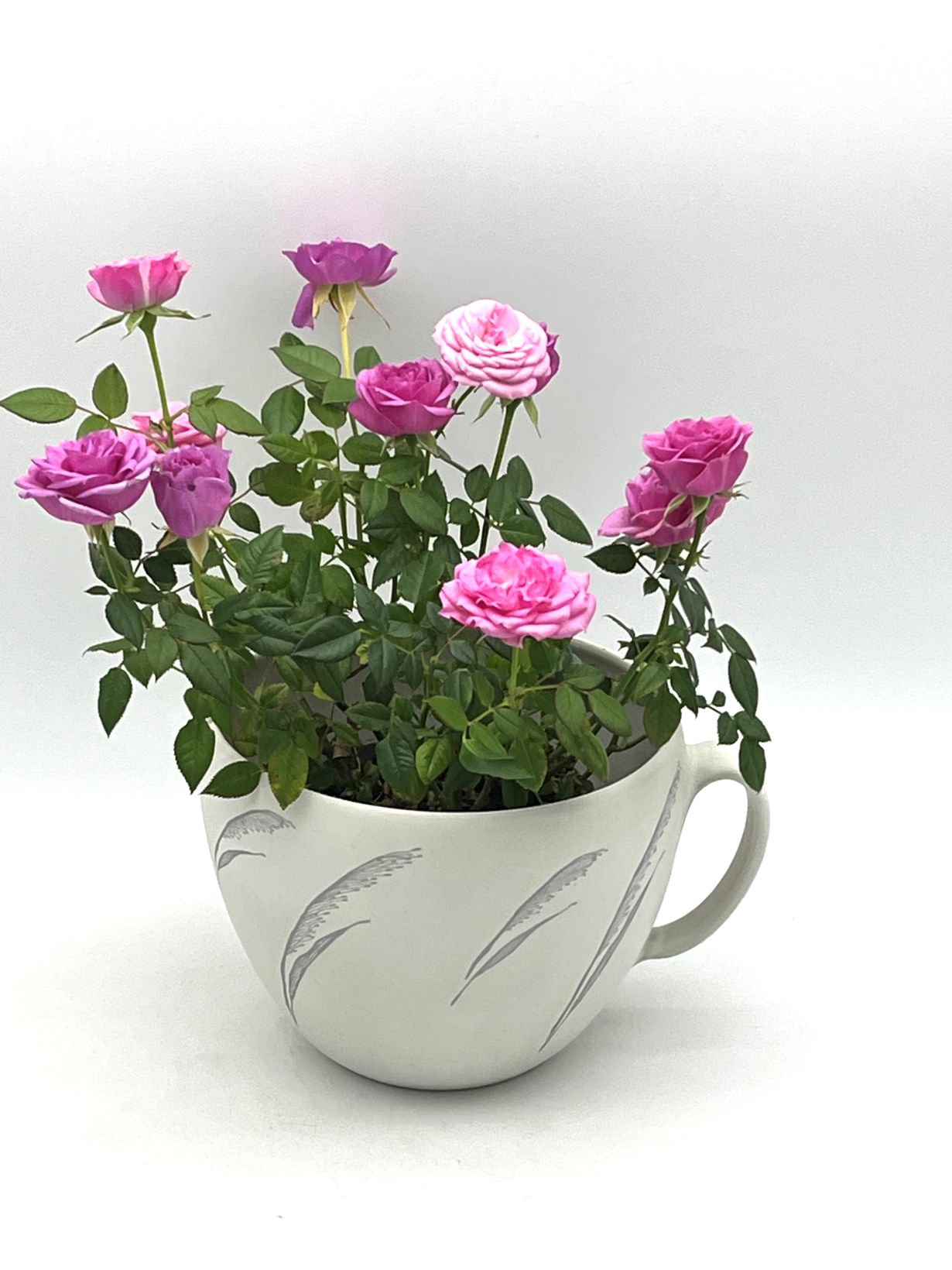 Bowlwithahandle15L4