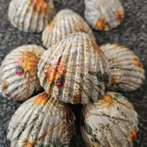Floral Decoupage Sea Shells Set of 8 Handcrafted Scallop Shell Tray Fillers, Cottagecore Ladybug and Sunflower Botanical Beach Decor, Rustic Summer Accents