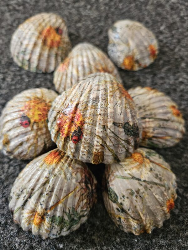 Floral Decoupage Sea Shells Set of 8 Handcrafted Scallop Shell Tray Fillers, Cottagecore Ladybug and Sunflower Botanical Beach Decor, Rustic Summer Accents
